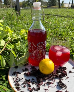 /images/gallery/kombuha_hibiskus_5.jpg