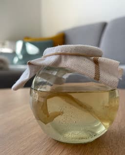 /images/gallery/scoby2.jpg