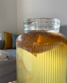 /images/gallery/scoby4.jpg