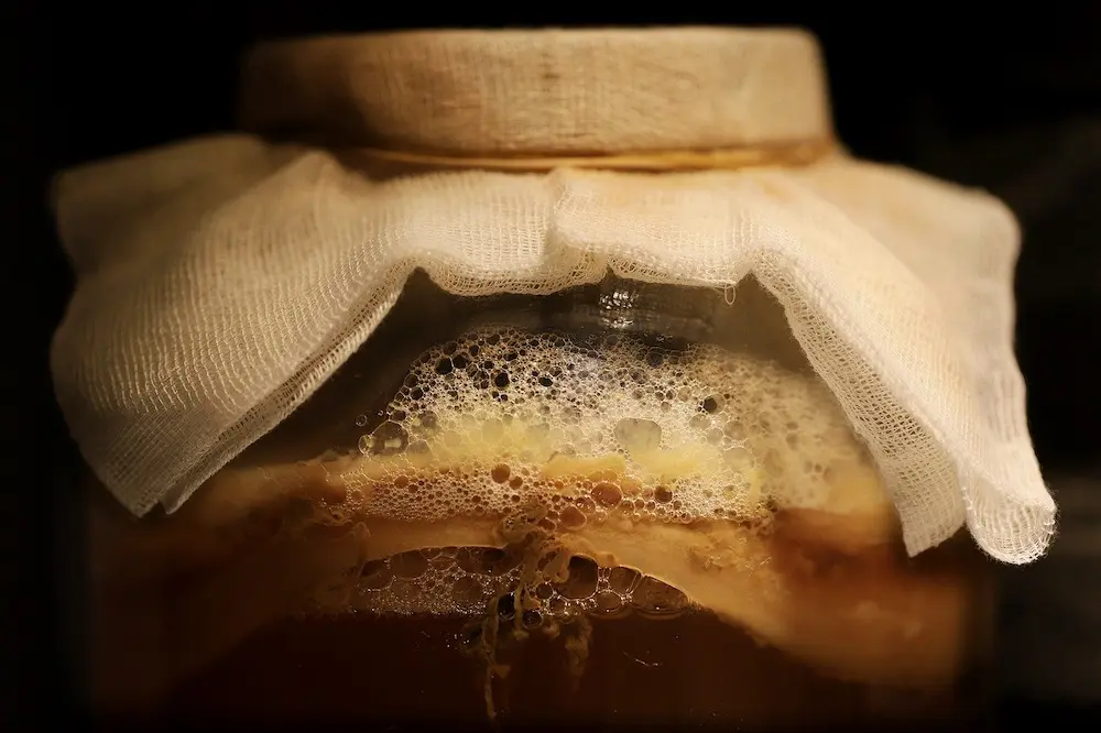 Smeđi končići u kombuhi koji pokazuju zdravu fermentaciju
