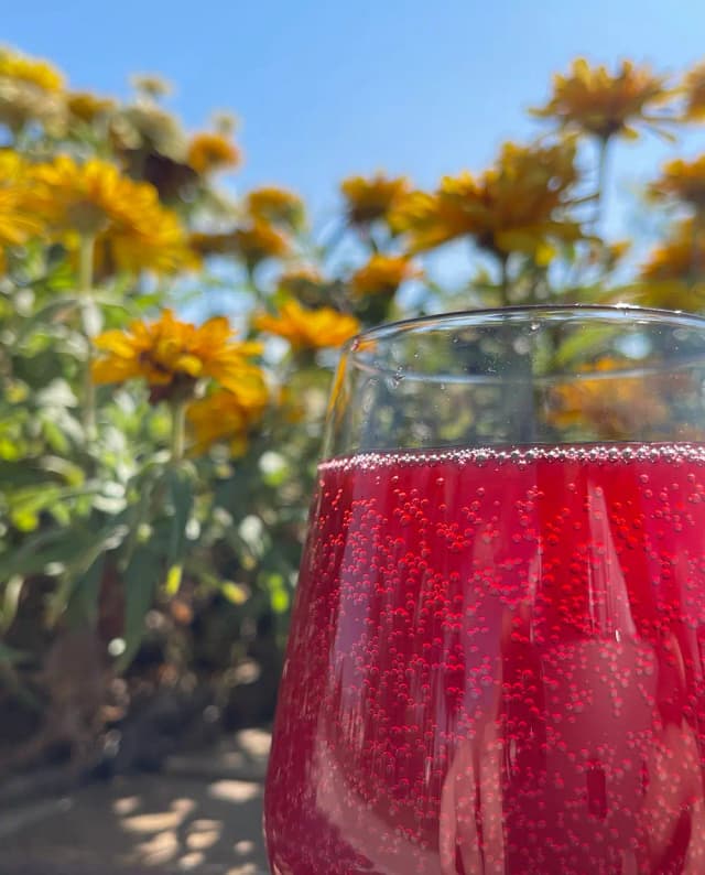 Kombuha 0.5l - Hibiskus