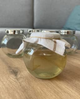 /images/products/kombuha-scoby-cajna-gljiva.webp