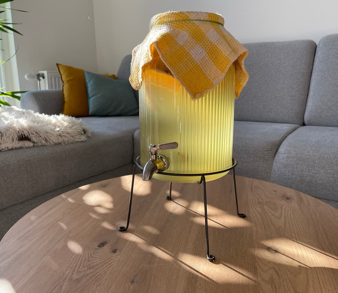 SCOBY kultura za kombuhu